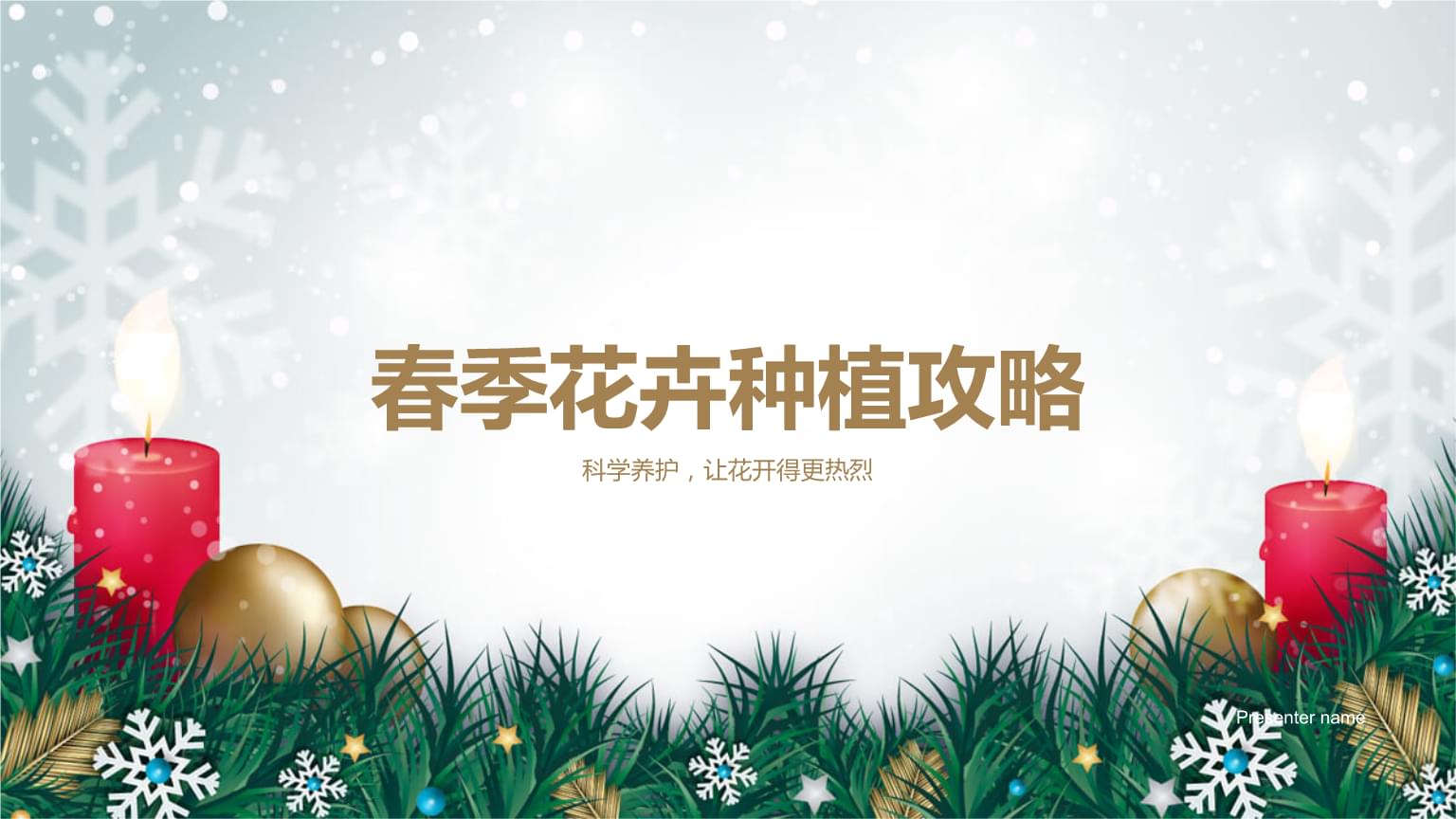 春季花卉种植攻略