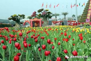 全国花卉苗木种植区域分布 附考点设计