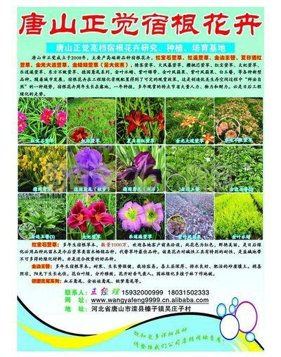 园林 花卉图片