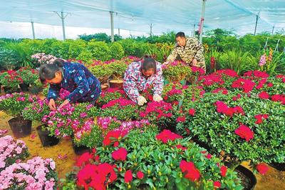 人勤春来早