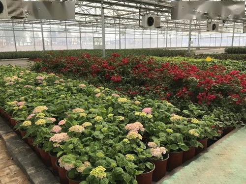 情满2020 这场脱贫攻坚全媒体公益助农云直播 周四下午您一定要关注