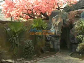 花卉种植大棚 山东称心的,花卉种植大棚 青州市瑾玉温室园艺工程