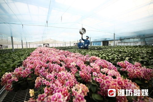花花 家里安上 空调 啦