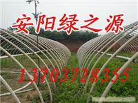 温室大棚骨架机 大棚骨架机 花卉大棚骨架